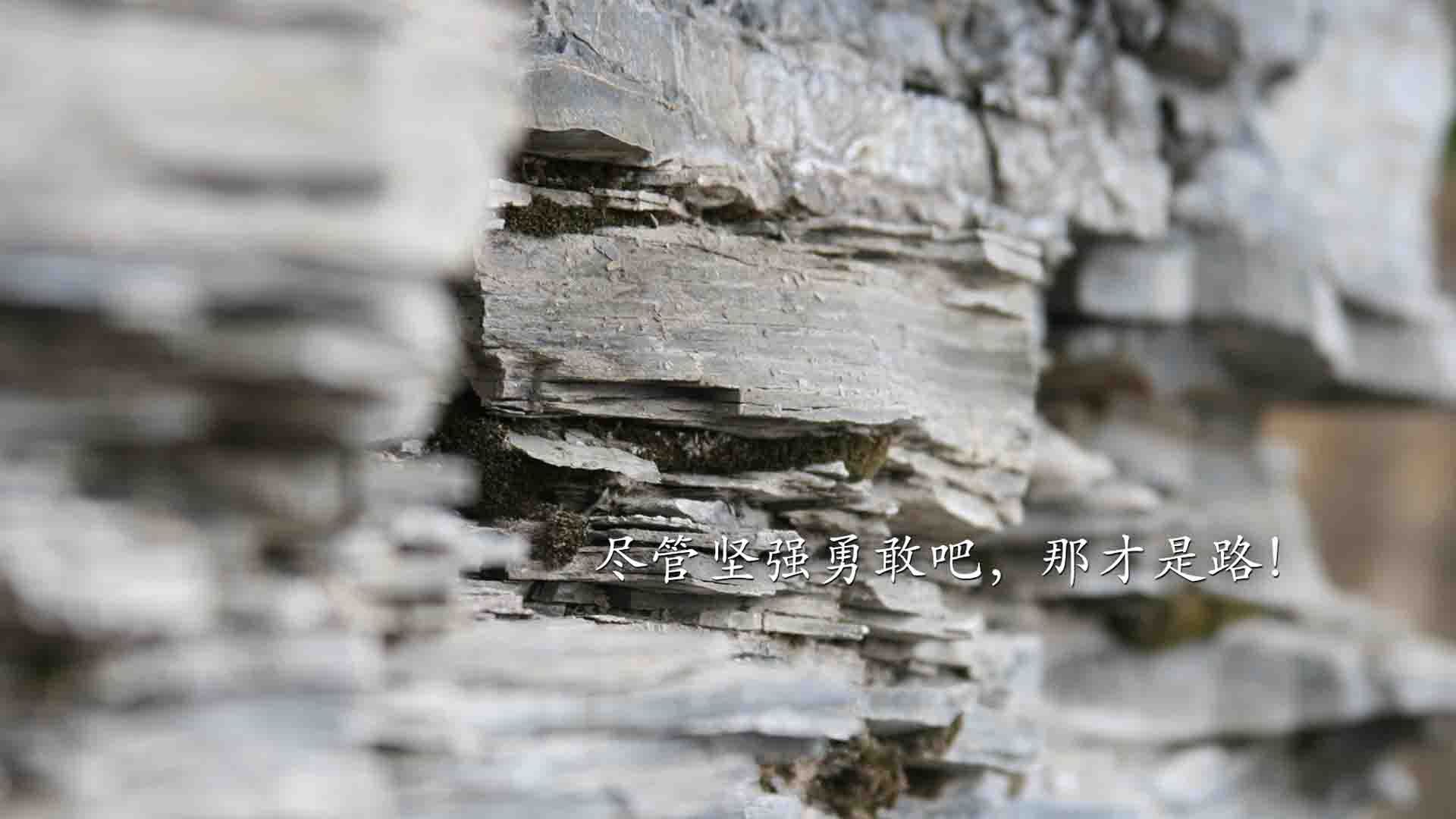 亚特兰大双前锋配合打破得分沉寂，亚特兰大前锋被绿