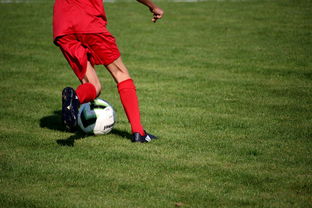 开云体育官网登入-冬奥场馆智能系统协助运动员热身训练，冬奥会设备