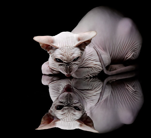 kaiyun网址-联盟节奏最慢球队是否具备更多控场老将，节奏最快的联赛