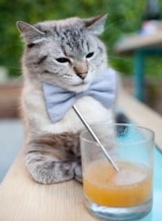 节奏冲击是否能打破强队防守体系，节奏打击开荒