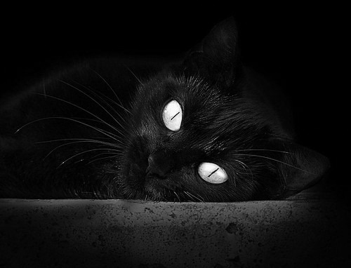 开yun官网-世界杯最震撼的进球：让全世界沸腾的瞬间，世界杯史上十大进球